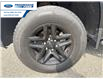 2022 Chevrolet Silverado 1500 LTD Custom Trail Boss (Stk: NG107868P) in Wallaceburg - Image 10 of 24