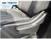 2022 Chevrolet Silverado 1500 LTD Custom Trail Boss (Stk: NG107868P) in Wallaceburg - Image 12 of 24