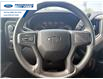 2022 Chevrolet Silverado 1500 LTD Custom Trail Boss (Stk: NG107868P) in Wallaceburg - Image 14 of 24