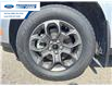 2024 Ford Maverick XLT (Stk: RRB19906) in Wallaceburg - Image 10 of 24