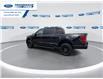 2024 Ford F-150 XLT (Stk: RKE16965) in Wallaceburg - Image 6 of 25