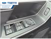 2024 Ford F-150 XLT (Stk: RKE16965) in Wallaceburg - Image 13 of 25