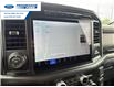 2024 Ford F-150 XLT (Stk: RKE16965) in Wallaceburg - Image 18 of 25