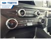 2024 Ford F-150 XLT (Stk: RKE16965) in Wallaceburg - Image 19 of 25