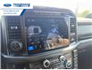2024 Ford F-150 XLT (Stk: RFB07302) in Wallaceburg - Image 16 of 25 2024 Ford F-150 XLT (Stk: RFB07302) in Wallaceburg - Image 16 of 25