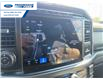 2024 Ford F-150 XLT (Stk: RFB07302) in Wallaceburg - Image 18 of 25 2024 Ford F-150 XLT (Stk: RFB07302) in Wallaceburg - Image 18 of 25