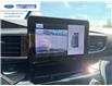 2023 Ford Explorer ST-Line (Stk: TGC08506A) in Wallaceburg - Image 17 of 26 2023 Ford Explorer ST-Line (Stk: TGC08506A) in Wallaceburg - Image 17 of 26