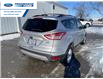 2014 Ford Escape SE (Stk: EUD96125A) in Wallaceburg - Image 11 of 16