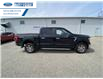 2021 Ford F-150 XLT (Stk: MKD47678T) in Wallaceburg - Image 10 of 15