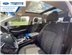 2017 Ford Edge SEL (Stk: HBC50483T) in Wallaceburg - Image 6 of 16