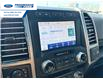 2020 Ford F-150 Platinum (Stk: LFB72020) in Wallaceburg - Image 16 of 26