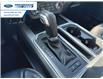 2020 Ford F-150 Platinum (Stk: LFB72020) in Wallaceburg - Image 20 of 26