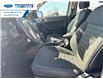 2023 Ford Ranger XLT (Stk: PLE22241) in Wallaceburg - Image 11 of 24