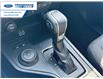 2023 Ford Ranger XLT (Stk: PLE22241) in Wallaceburg - Image 19 of 24