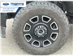 2023 Ford F-250 Platinum (Stk: PED90857T) in Wallaceburg - Image 10 of 26
