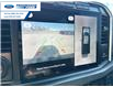 2023 Ford F-250 Platinum (Stk: PED90857T) in Wallaceburg - Image 17 of 26