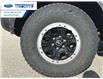 2022 Ford Bronco Badlands (Stk: NLB23541T) in Wallaceburg - Image 10 of 22