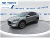 2022 Ford Escape SEL Hybrid (Stk: NUA77946T) in Wallaceburg - Image 4 of 25