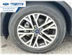 2022 Ford Escape SEL Hybrid (Stk: NUA77946T) in Wallaceburg - Image 10 of 25