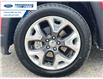 2020 Jeep Compass Limited (Stk: LT105843T) in Wallaceburg - Image 10 of 23