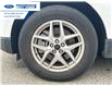 2023 Ford Edge SEL (Stk: PBA28077) in Wallaceburg - Image 10 of 25