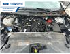2023 Ford Edge SEL (Stk: PBA28077) in Wallaceburg - Image 25 of 25
