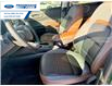 2024 Ford Bronco Sport Outer Banks (Stk: RRE67963T) in Wallaceburg - Image 11 of 24