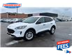 2021 Ford Escape S AWD -  Remote Start - Low Mileage (Stk: MUA13368) in Sarnia - Image 4 of 21