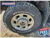2016 Ford F-250 Lariat - Bluetooth (Stk: GEB89328) in Sarnia - Image 2 of 8