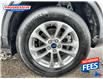2021 Ford Escape S AWD -  Remote Start - Low Mileage (Stk: MUA13368) in Sarnia - Image 10 of 21