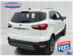 2020 Ford EcoSport Titanium 4WD - Leather Seats (Stk: LC345491P) in Sarnia - Image 8 of 24
