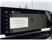2023 Chevrolet Silverado 1500 LT (Stk: P065) in Grimsby - Image 14 of 21