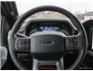 2023 Ford F-150 XLT (Stk: 23F7390) in Kitchener - Image 14 of 28