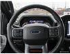 2023 Ford F-150 XLT (Stk: 23F7440) in Kitchener - Image 14 of 28