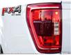 2023 Ford F-150 XLT (Stk: 23F1300) in Kitchener - Image 11 of 23