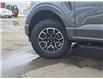 2023 Ford F-150 XLT Grey