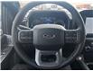 2023 Ford F-150 XLT Grey
