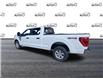 2023 Ford F-150 XLT White