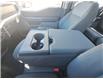 2023 Ford F-150 XLT White