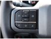 2023 Ford F-150 XLT (Stk: 23F1052) in St. Catharines - Image 21 of 23