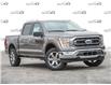 2023 Ford F-150 XLT (Stk: 23F1113) in St. Catharines - Image 1 of 24