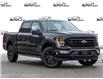 2023 Ford F-150 XLT (Stk: 23F1148) in St. Catharines - Image 1 of 24