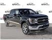 2022 Ford F-150 King Ranch (Stk: FE372) in Sault Ste. Marie - Image 1 of 24