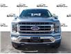 2023 Ford F-150  (Stk: FF037) in Sault Ste. Marie - Image 2 of 24