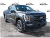 2023 Ford F-150 XLT (Stk: FF044) in Sault Ste. Marie - Image 1 of 24