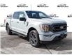 2023 Ford F-150 XLT (Stk: FF039) in Sault Ste. Marie - Image 1 of 24