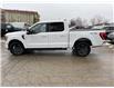 2023 Ford F-150 XLT (Stk: Y0029) in Barrie - Image 6 of 28
