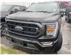 2023 Ford F-150 XLT (Stk: Y0027) in Barrie - Image 15 of 39