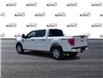 2023 Ford F-150 XLT White