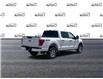 2023 Ford F-150 XLT White